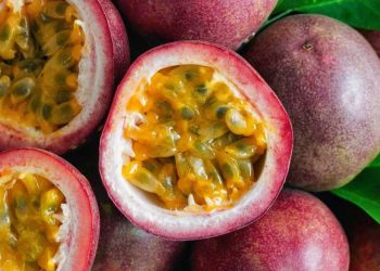 Loài cây dây leo thuộc Lạc tiên