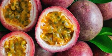 Loài cây dây leo thuộc Lạc tiên