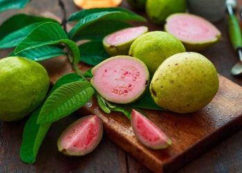 Ổi ruby là loại trái cây  xuất xứ từ Đài Loan có ruột đỏ