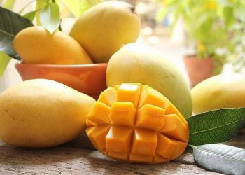 Thị trường hiện có đa dạng nhiều loại khác nhau 