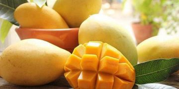 Thị trường hiện có đa dạng nhiều loại khác nhau 