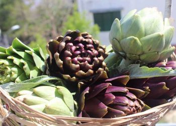 Trong trà atiso có chứa rất nhiều chất sắt