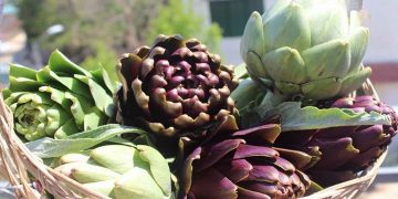 Trong trà atiso có chứa rất nhiều chất sắt