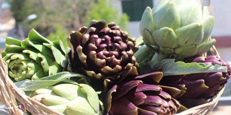 Trong trà atiso có chứa rất nhiều chất sắt