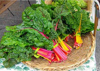 Cải là một loại rau tươi ngon bổ dưỡng