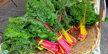 Cải là một loại rau tươi ngon bổ dưỡng