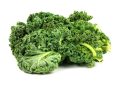 Cải xoăn - Món quà sức khỏe được thiên nhiên trao tặng