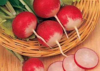 Vậy nên hãy thật chú khi sử dụng loại thực phẩm này. 