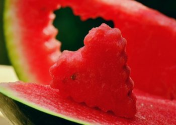 Tìm hiểu về nguồn gốc của cây dưa hấu