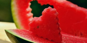 Tìm hiểu về nguồn gốc của cây dưa hấu