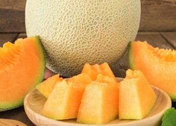 Tìm hiểu về nguồn gốc dưa lưới