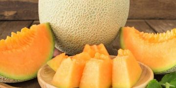 Tìm hiểu về nguồn gốc dưa lưới