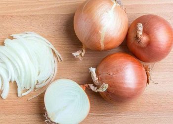 Hành tây là rau hay gia vị?