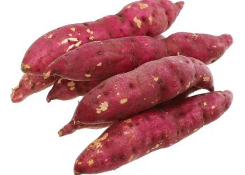 Nguồn gốc ra đời của củ khoai