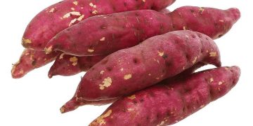 Nguồn gốc ra đời của củ khoai