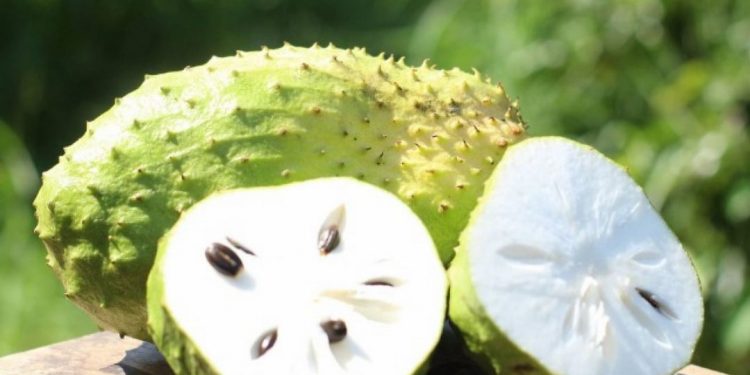 Thông tin bạn nên biết về mãng cầu