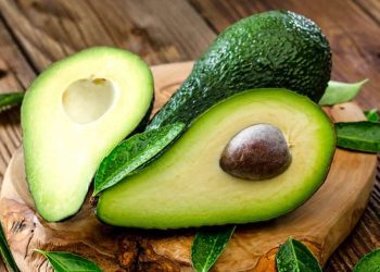 Quả bơ chứa nhiều khoáng chất cực tốt cho cơ thể