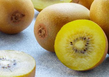 Trong quả kiwi có chứa rất nhiều chất có tác dụng oxy hóa