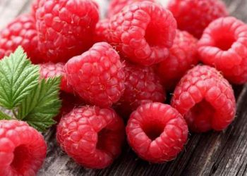 Quả này có giá trị dinh dưỡng và lợi ích đối với sức khỏe