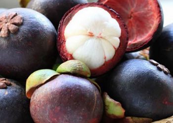 Măng cụt rất được ưa chuộng và trồng cực nhiều tại Đông Nam Á