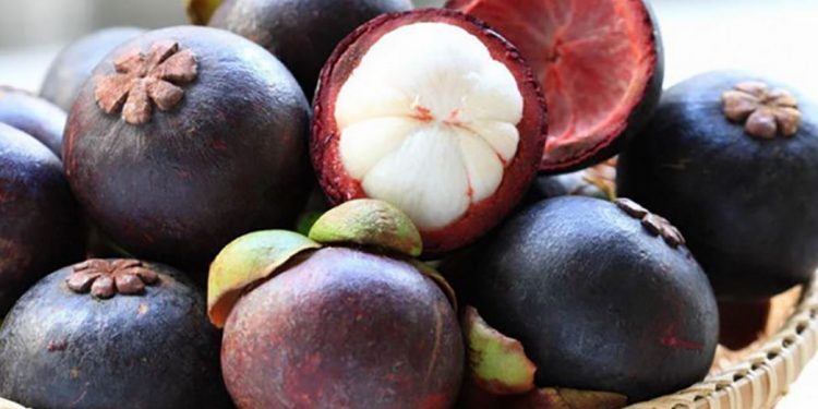 Măng cụt rất được ưa chuộng và trồng cực nhiều tại Đông Nam Á