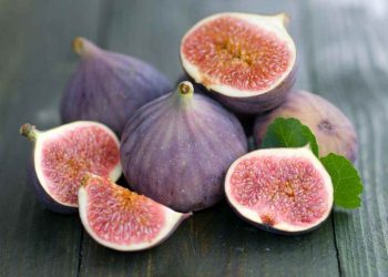 Một số thông tin về quả vả