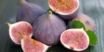 Một số thông tin về quả vả