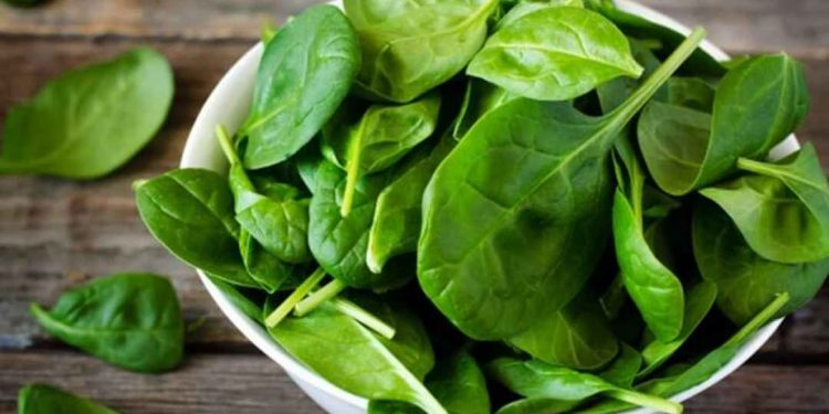 Một loại rau bình dân không nên bỏ qua