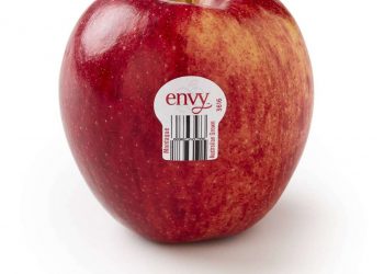 Táo Envy có vỏ đỏ đậm cùng sọc màu màu vàng và có thịt màu trắng