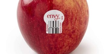 Táo Envy có vỏ đỏ đậm cùng sọc màu màu vàng và có thịt màu trắng