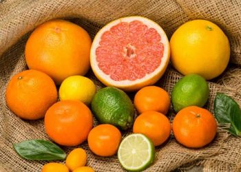 Thành phần dinh dưỡng của quả cam