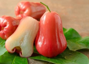 Lợi ích của quả mận đối với sức đề kháng của cơ thể