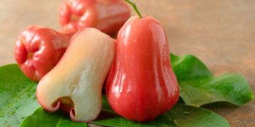 Lợi ích của quả mận đối với sức đề kháng của cơ thể