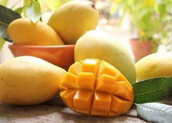 Lợi ích của xoài đối với sức khỏe và còn giúp phòng bệnh