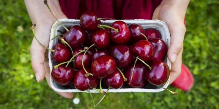Công dụng của quả cherry mà có thể bạn chưa biết tới