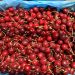 Size cherry có những loại nào? Hướng dẫn chọn size