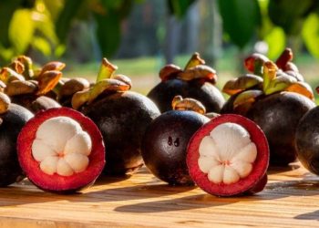 Cách chọn măng cụt ngon dựa vào đặc điểm bên ngoài