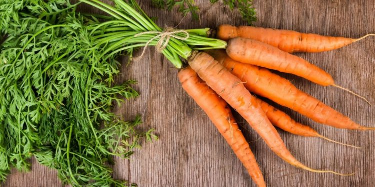 Cà Rốt là món ăn tuyệt vời
