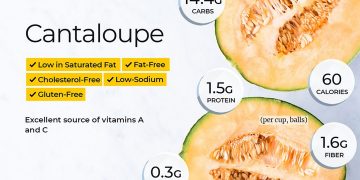 dưa lưới là một nguồn dinh dưỡng tốt cho sức khỏe