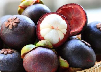 Măng cụt Thái Lan có những đặc điểm và công dụng gì?