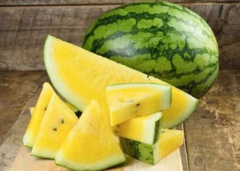 Các loại dưa hấu phổ biến nhất hiện nay