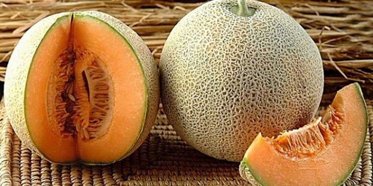 Dưa lưới có nguồn gốc Châu Phi và Ấn Độ