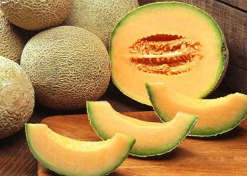 Dưa lưới tròn - ruột vàng