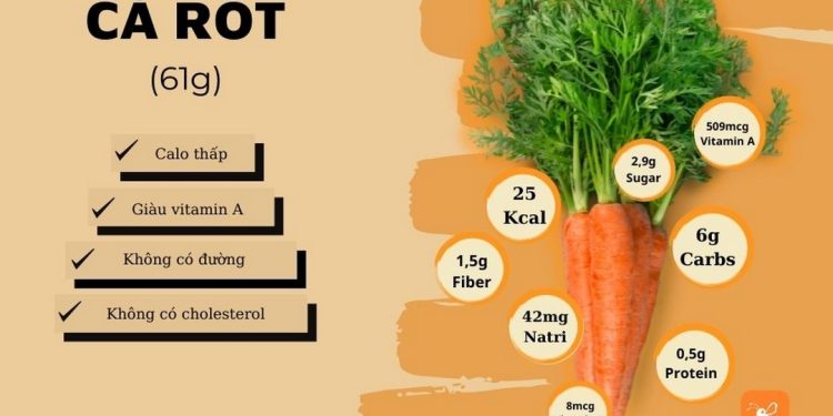 Củ cà rốt là một nguồn dinh dưỡng tuyệt vời
