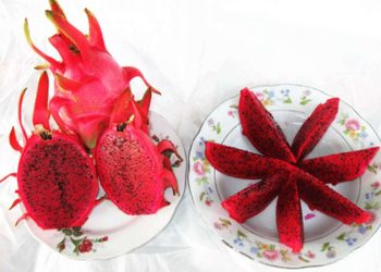 Thanh Long Ruột Đỏ được xuất xứ từ miền Trung Bộ Việt Nam