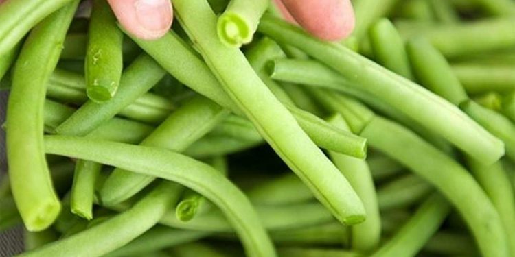 Nên chọn đậu que còn xanh, thuôn dài và trông còn mới