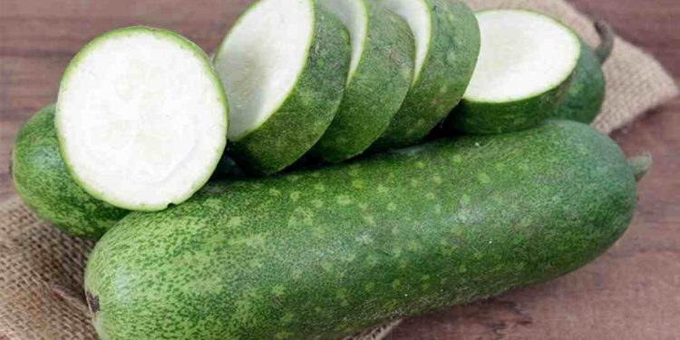 Bí đao là một loại quả có nguồn gốc từ các nước Đông Nam Á