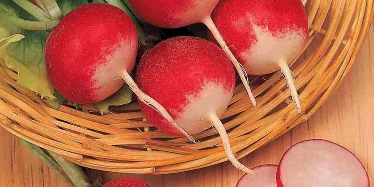 Vậy nên hãy thật chú khi sử dụng loại thực phẩm này. 