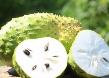 Thông tin bạn nên biết về mãng cầu