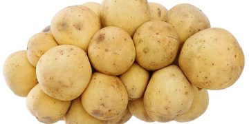 Cách bảo quản bòn bon